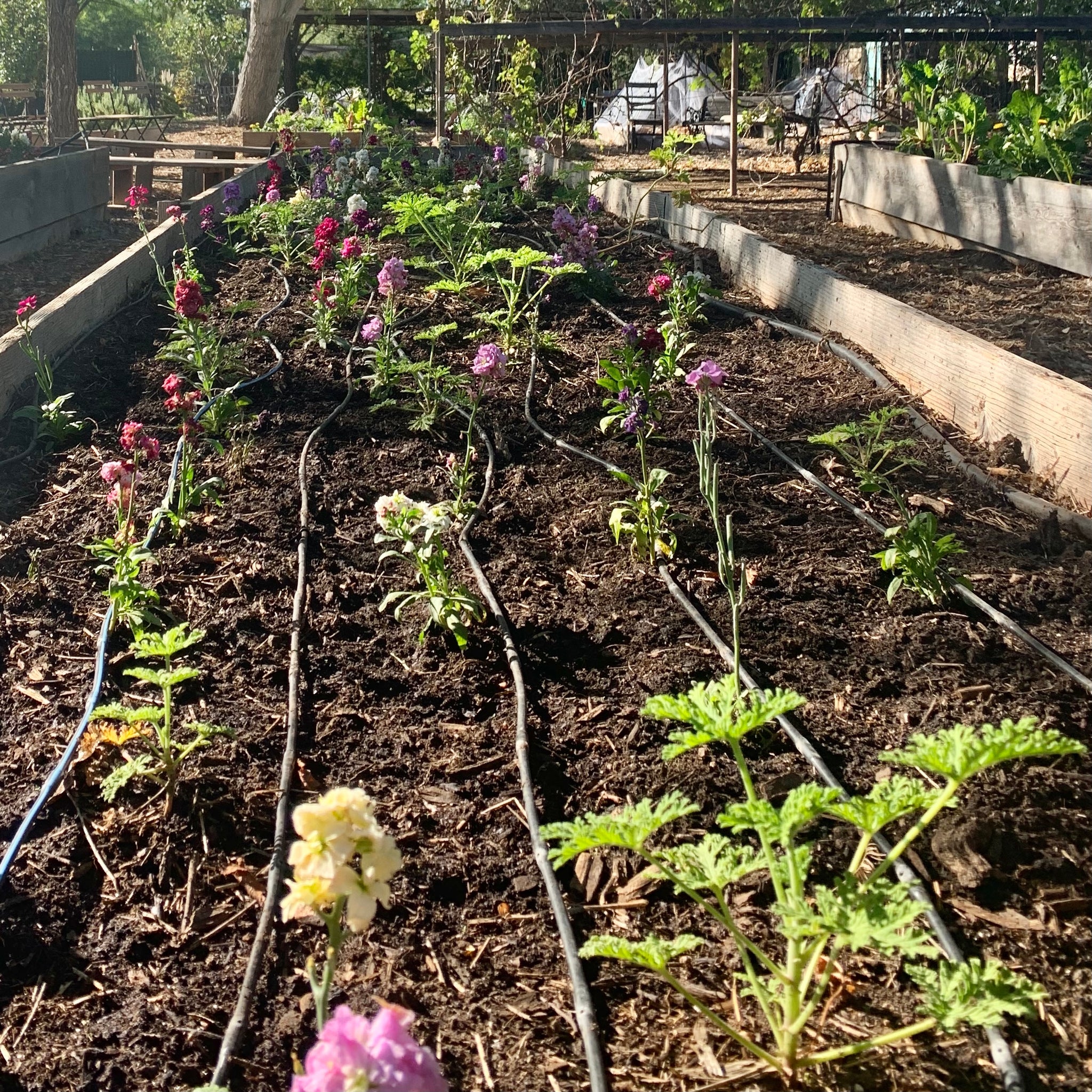 Terroir - What Is It? The Beauty of Curated & Composted Soil