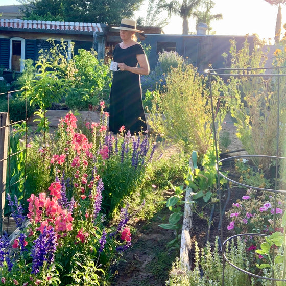 How I Design My Gardens