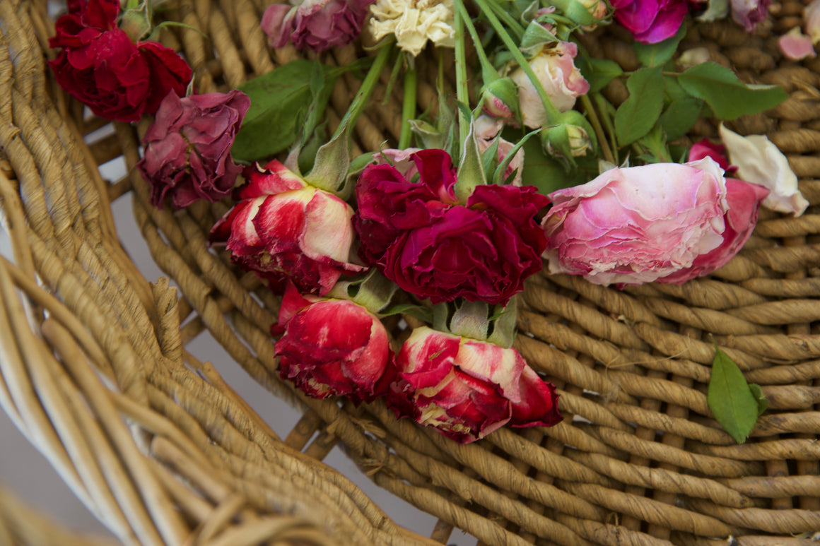 celebrating the beauty of those who give us life - Mothers