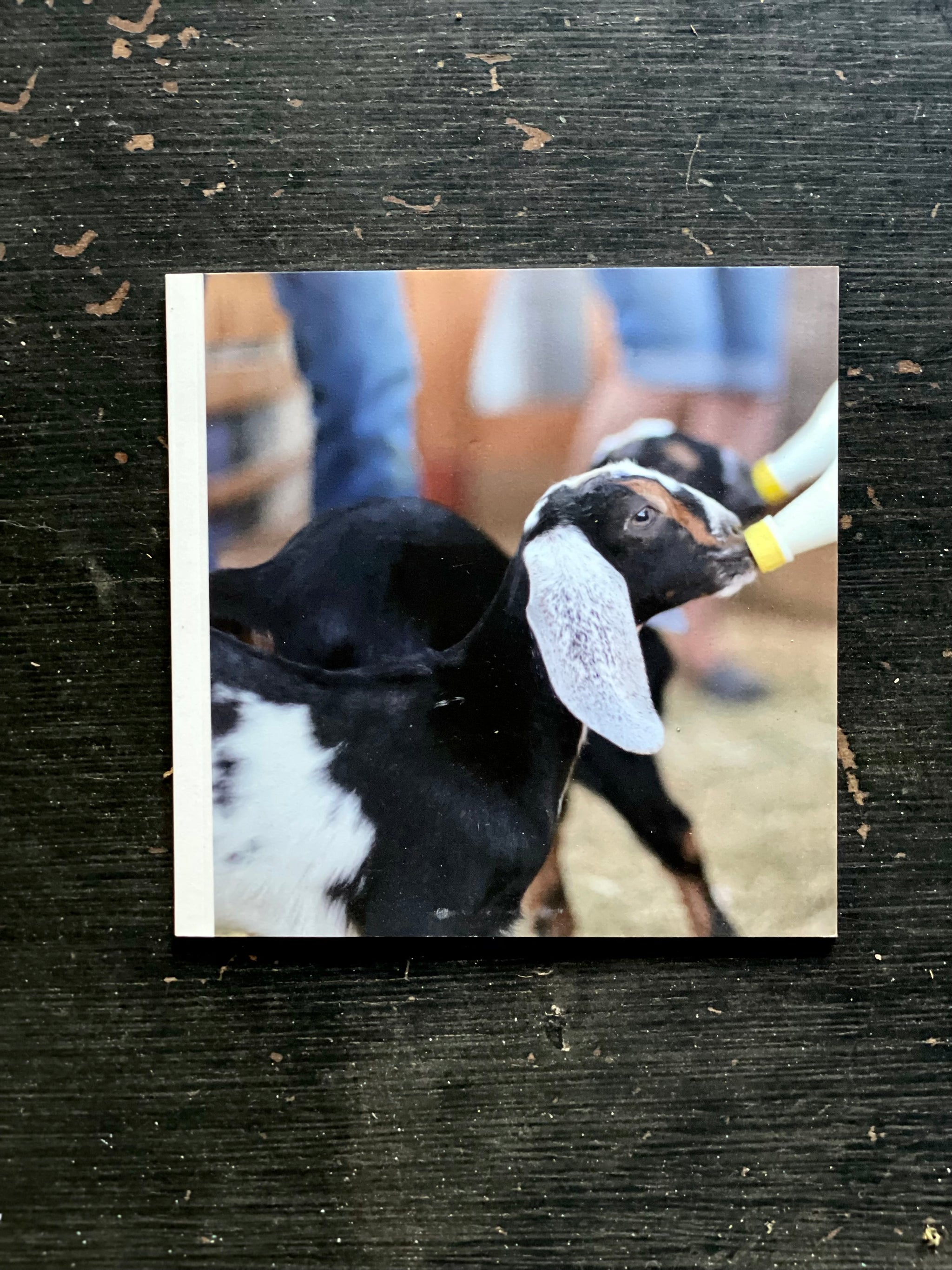FARM PICTURE BOOK FOR CHILDREN - GOATS & FARM LIFE